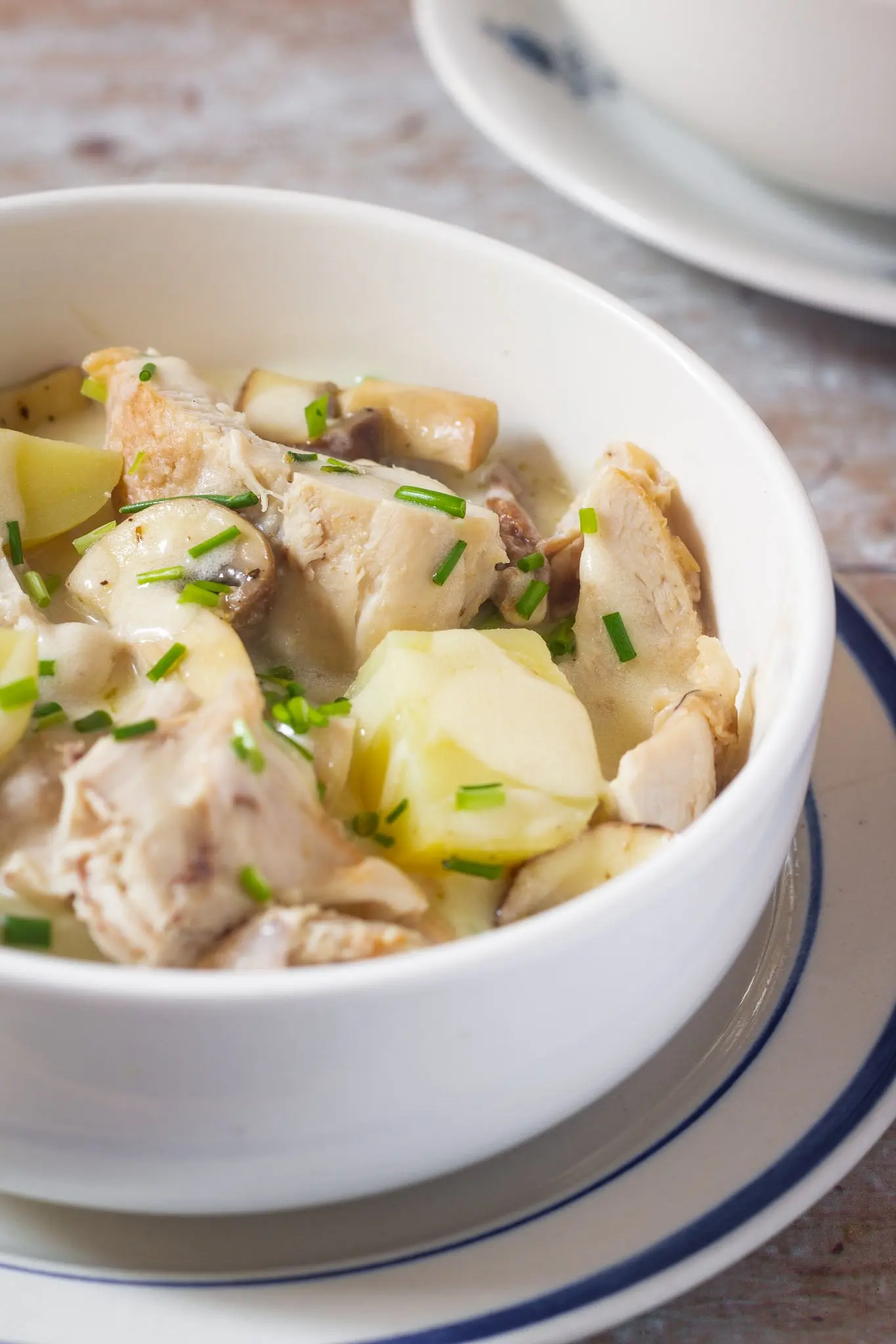 Rabbit Fricassee
