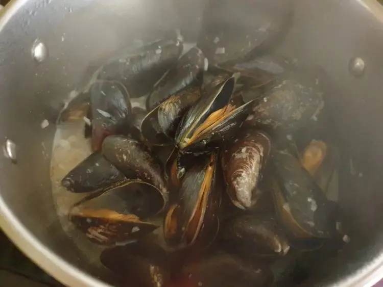 Steamed Mussels in Mustard Sauce ('Muscheln in Senfsoße') My German Table