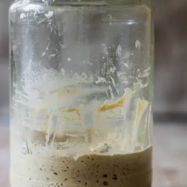 Sourdough Starter