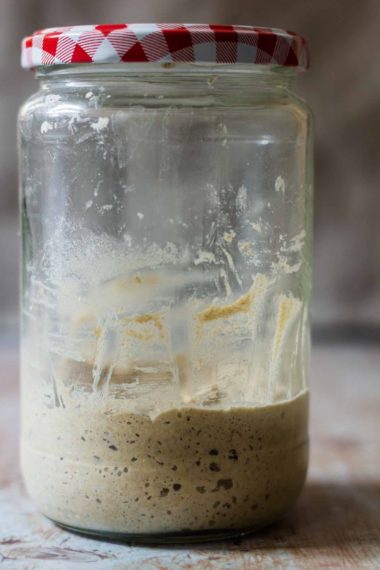 Sourdough Starter
