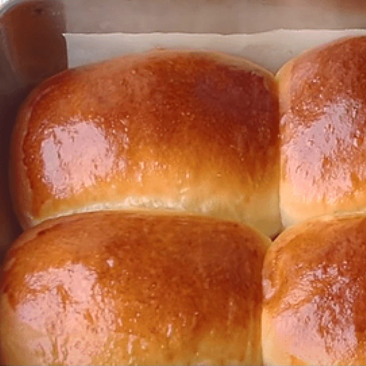 American-style Dinner Rolls