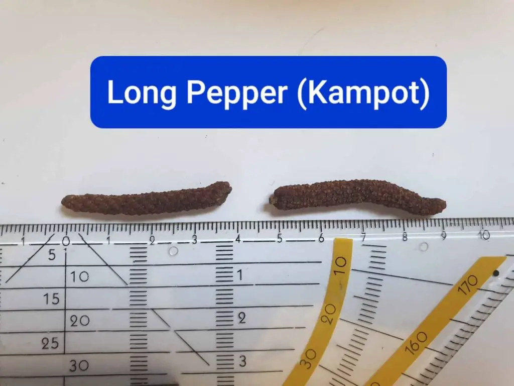 Kampot Long Pepper
