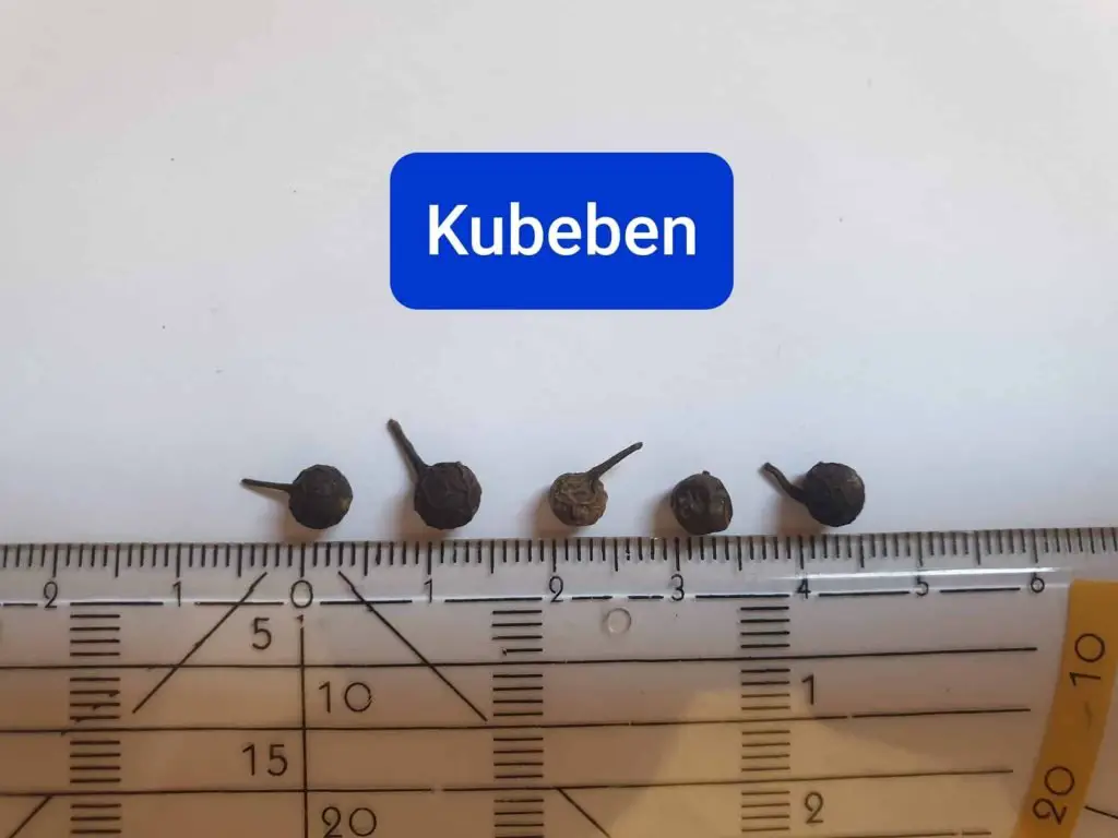 Kubeben pepper