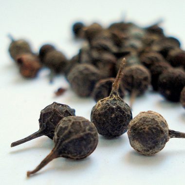 Cubeb pepper