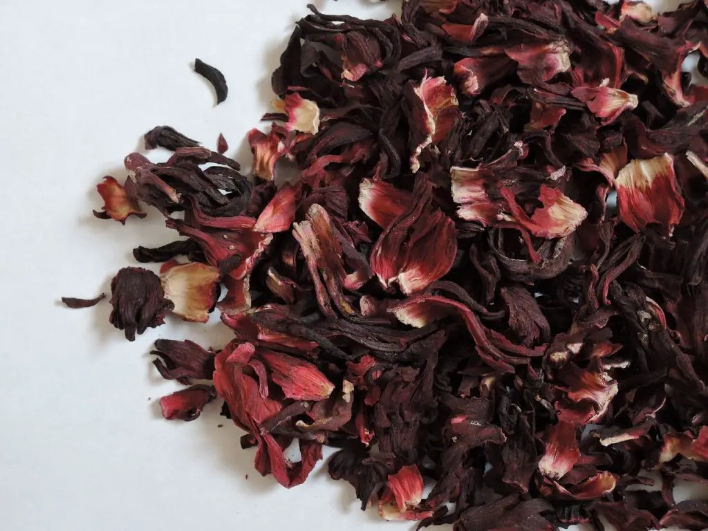 hibiscus blossoms