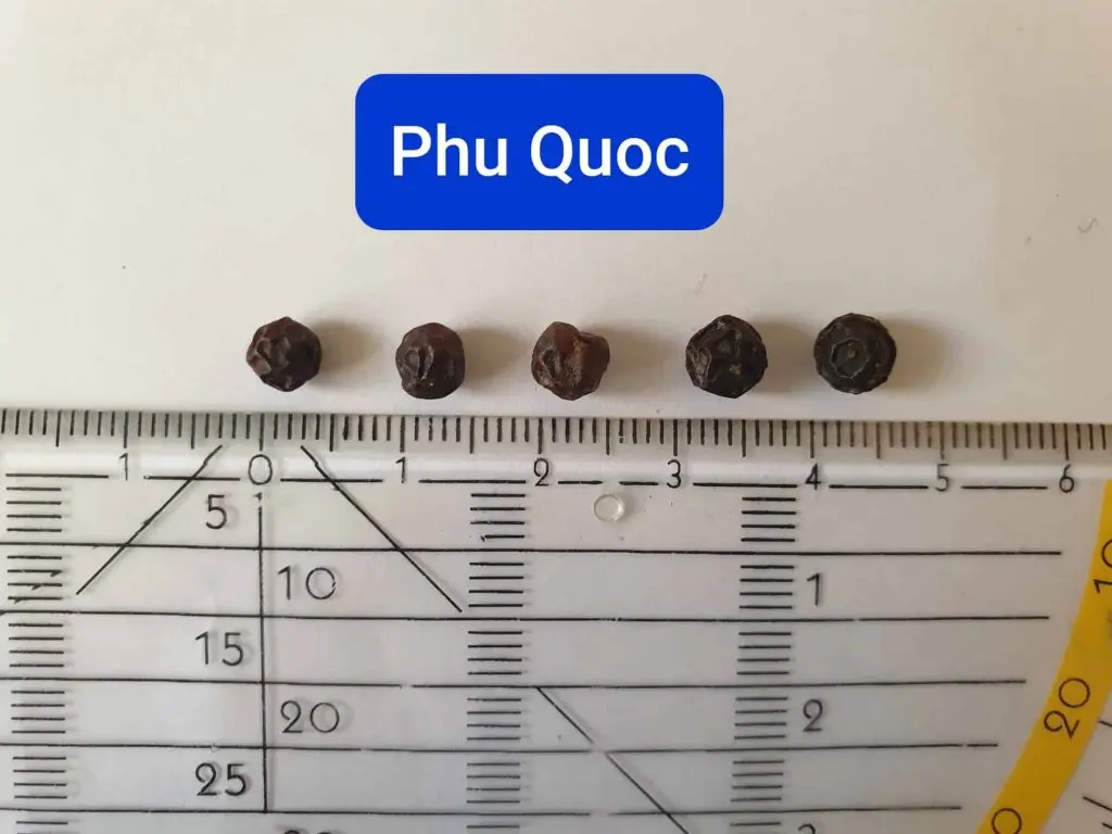 Phu Quoc red peppercorns