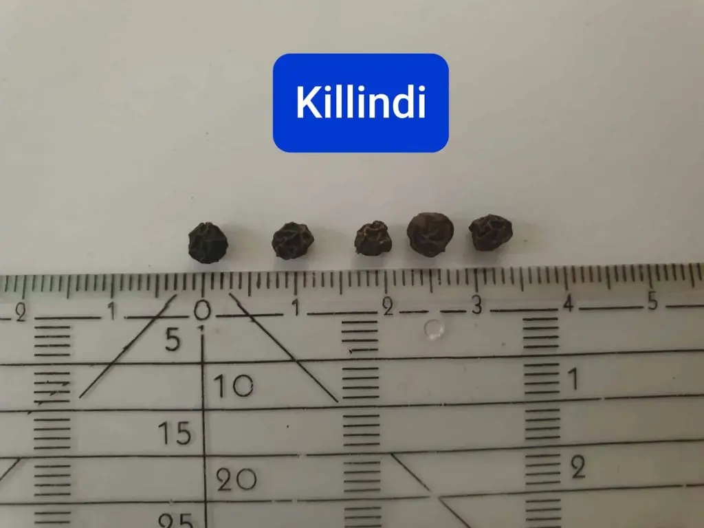 Killindi pepper