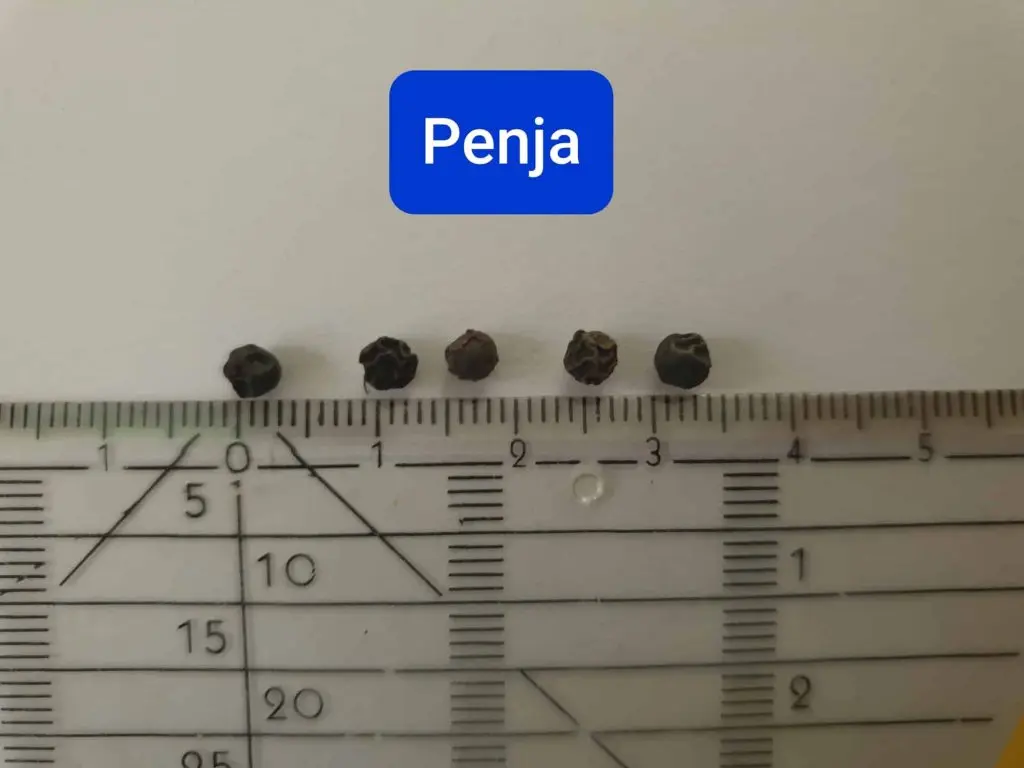 Penja pepper