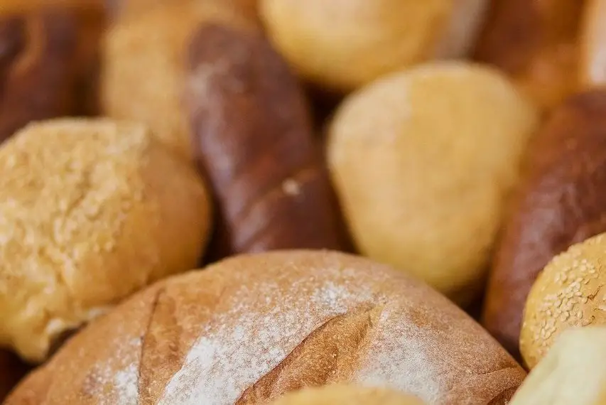 Different types of bread