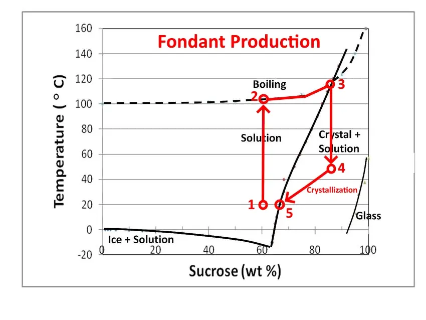 Phase diagram of sucrose and water
