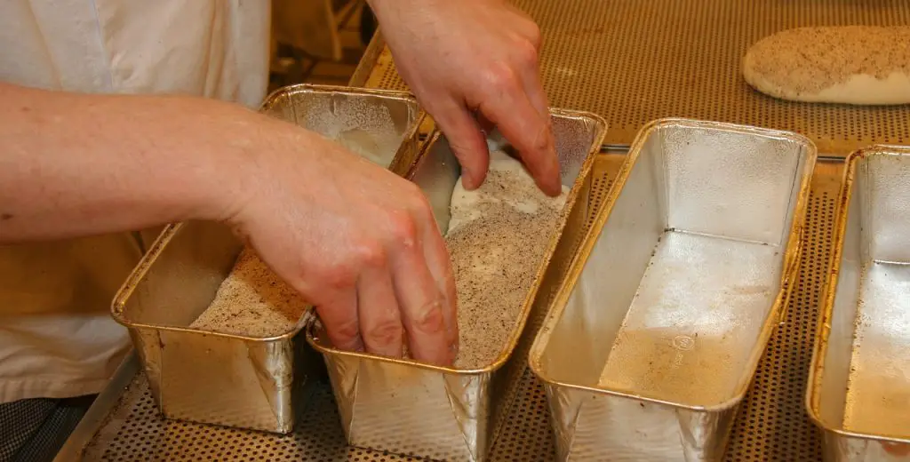 Placing dough in proofing loaf pan