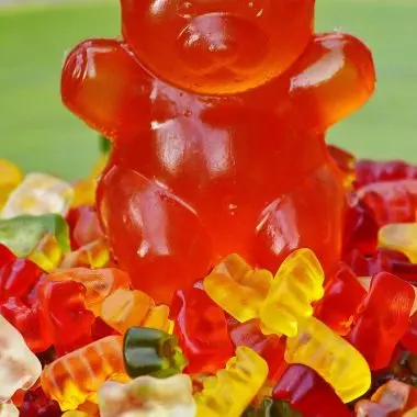 Gummy bears
