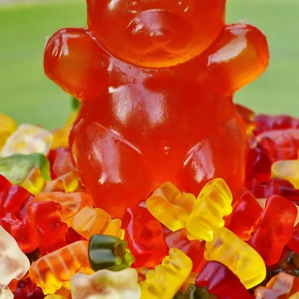 Gummy bears