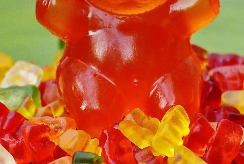 Gummy bears