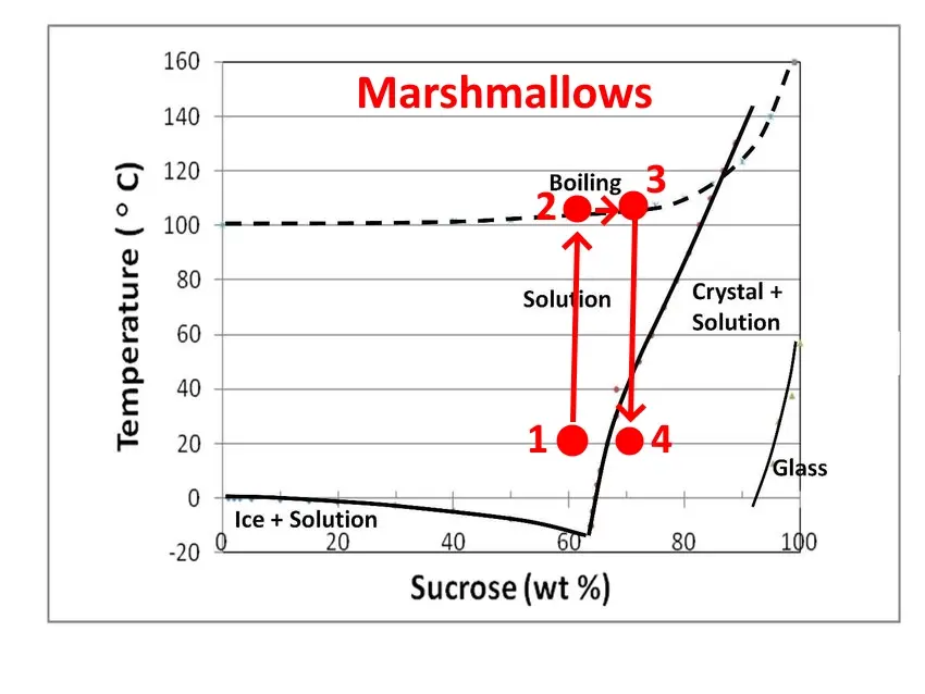 Production process for marshmallows