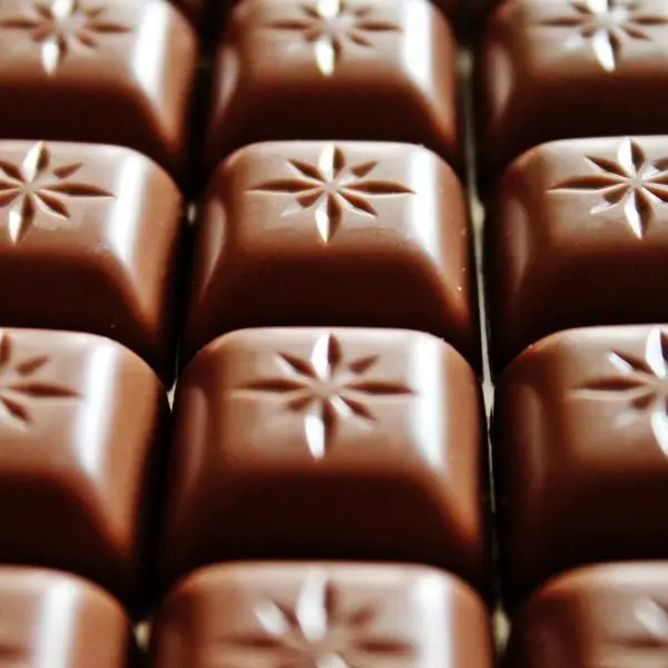 Chocolate bar