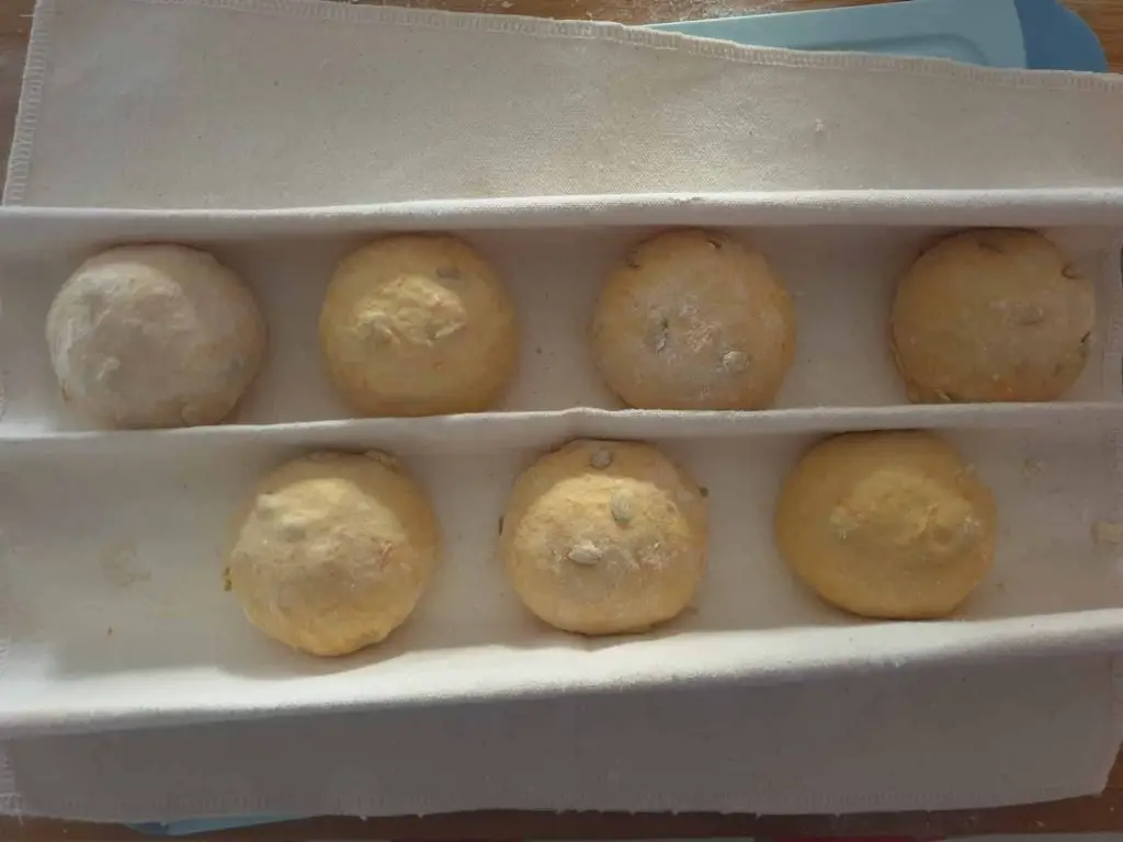 Bread rolls before proofing