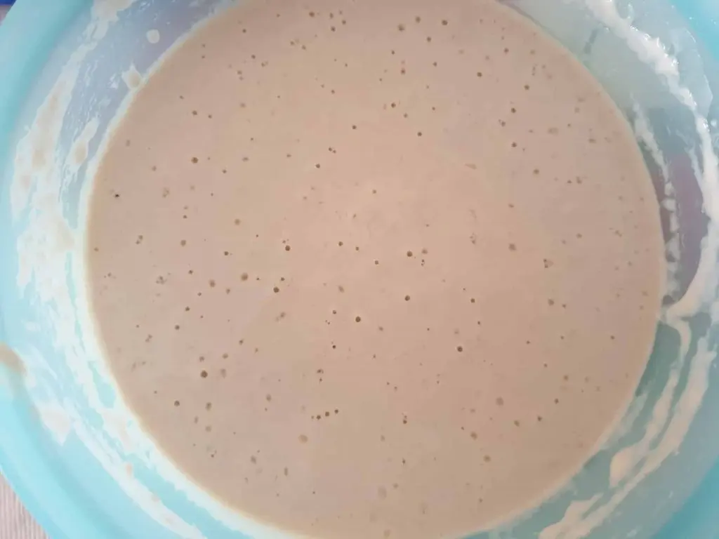 Ripe Sourdough with air bubbles