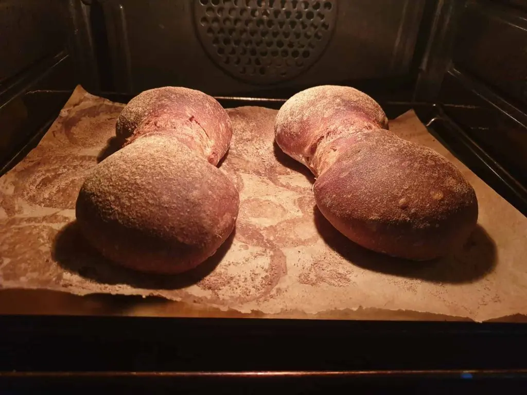 Swiss sourdough bread rolls fully baked