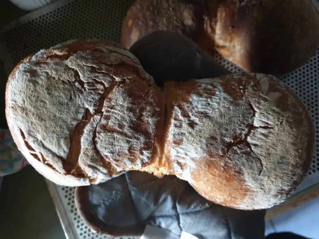 Crackling crust of the bread rolls