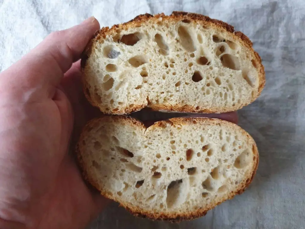 Crumb of swiss sourdough bread rolls (Bürli)