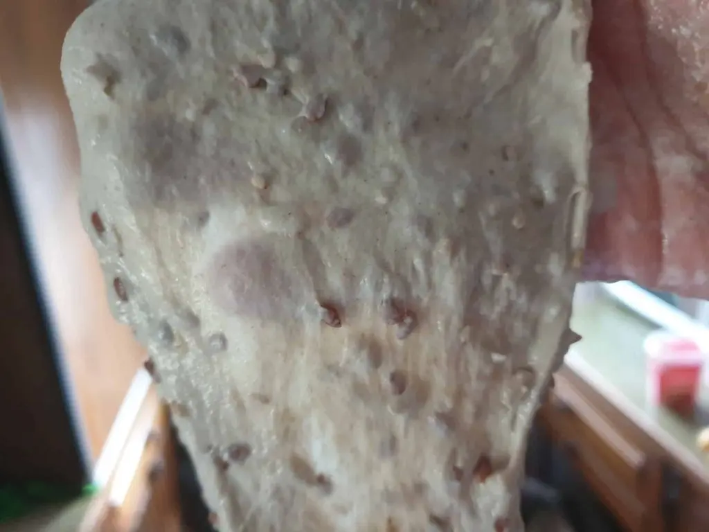 Windowpane test of kneaded dough