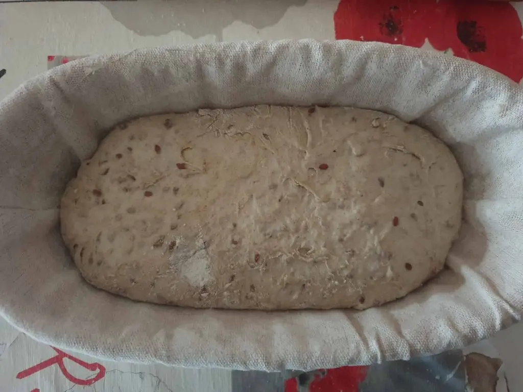 Proofed dough