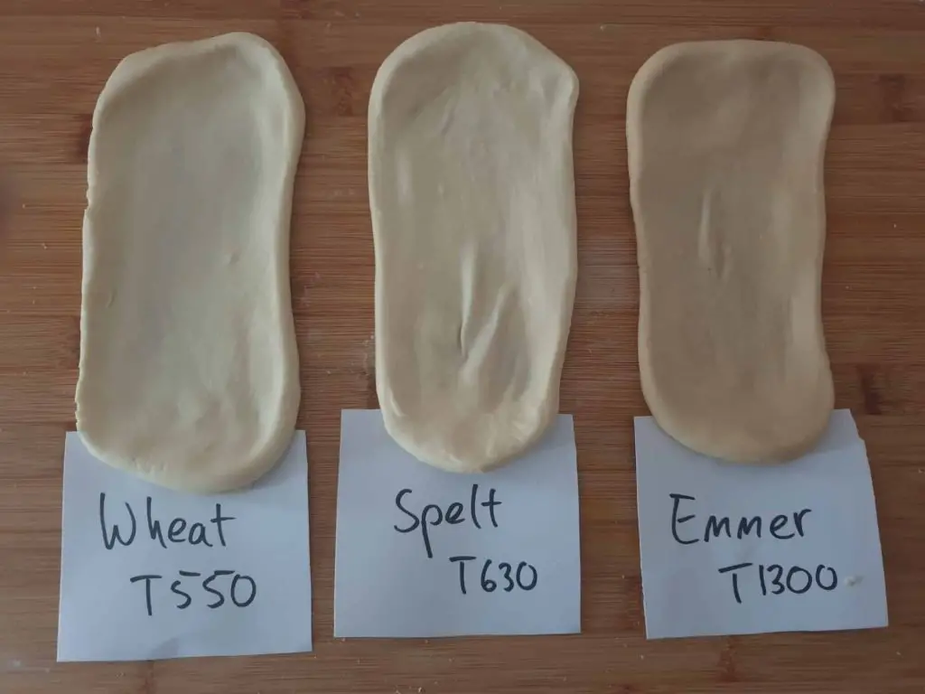 Emmer, Spelt, and Wheat comparison