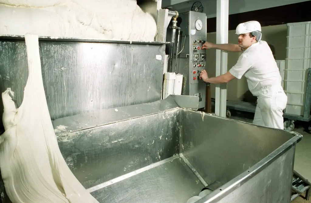 Dough industrial mixer