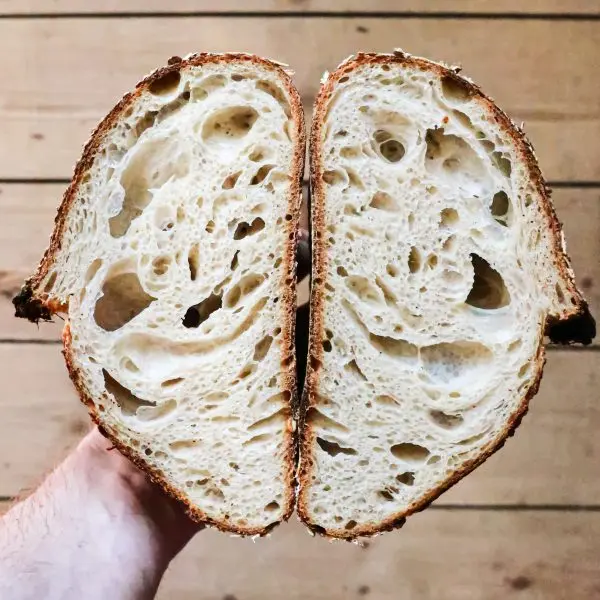 Why does bread have holes in it? (it’s not the yeast)