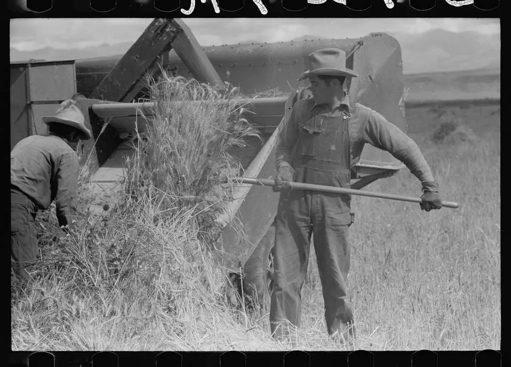 American farmers working on the wheat fields