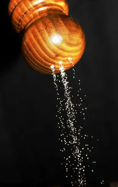 Salt shaker