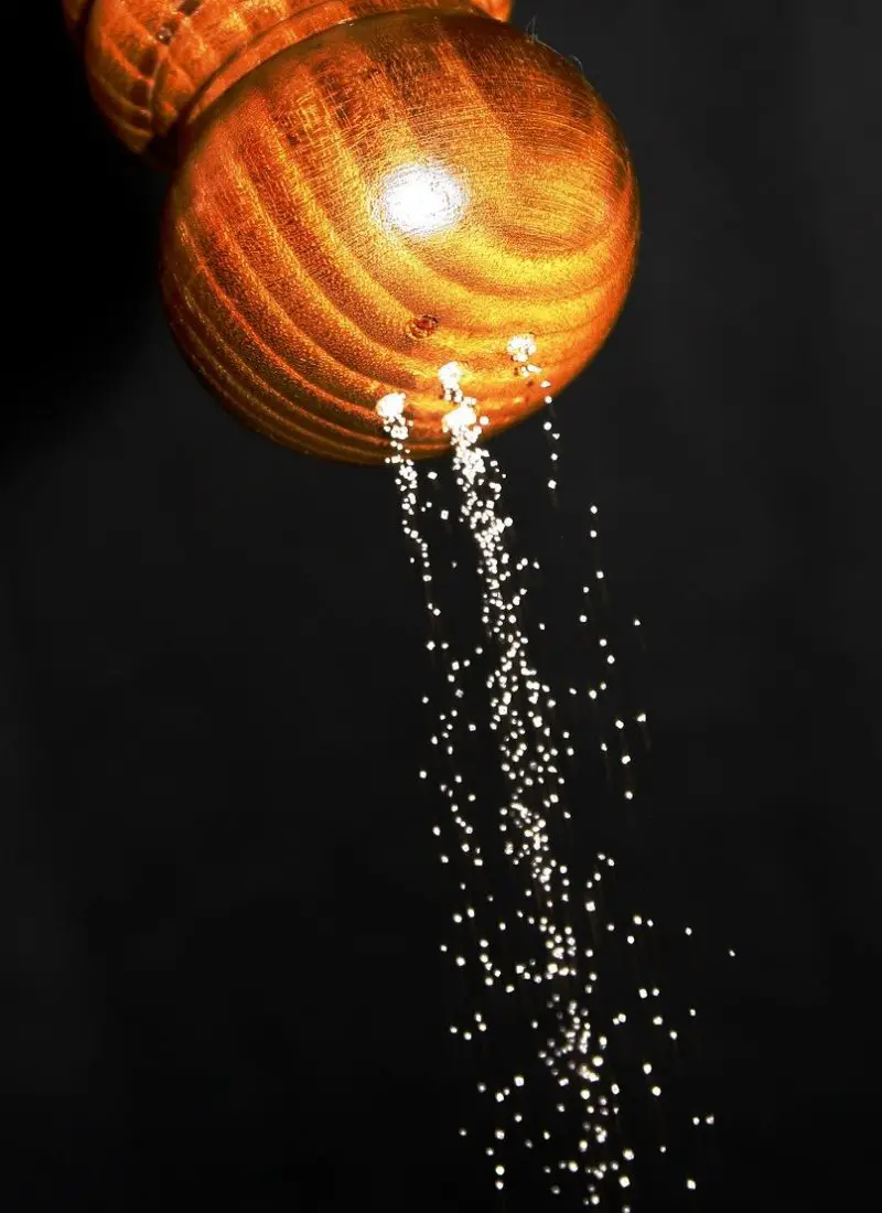 Salt shaker