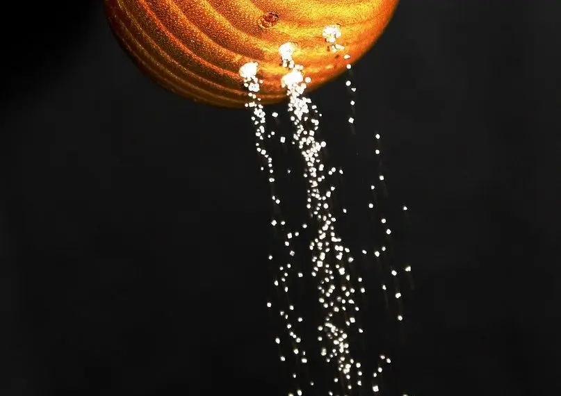 Salt shaker