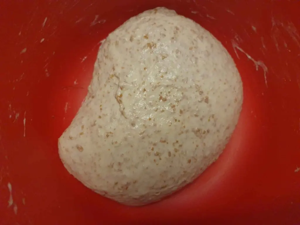 Whole grain Ciabatta dough after mixing