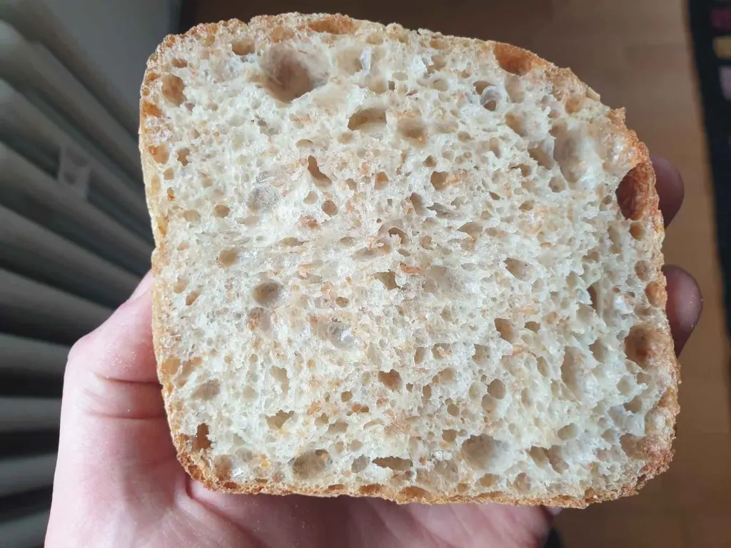 Open crumb of whole grain ciabatta rolls