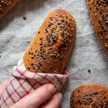 Spelt and Emmer Breadsticks (Dinkel-Emmer-Seelen')