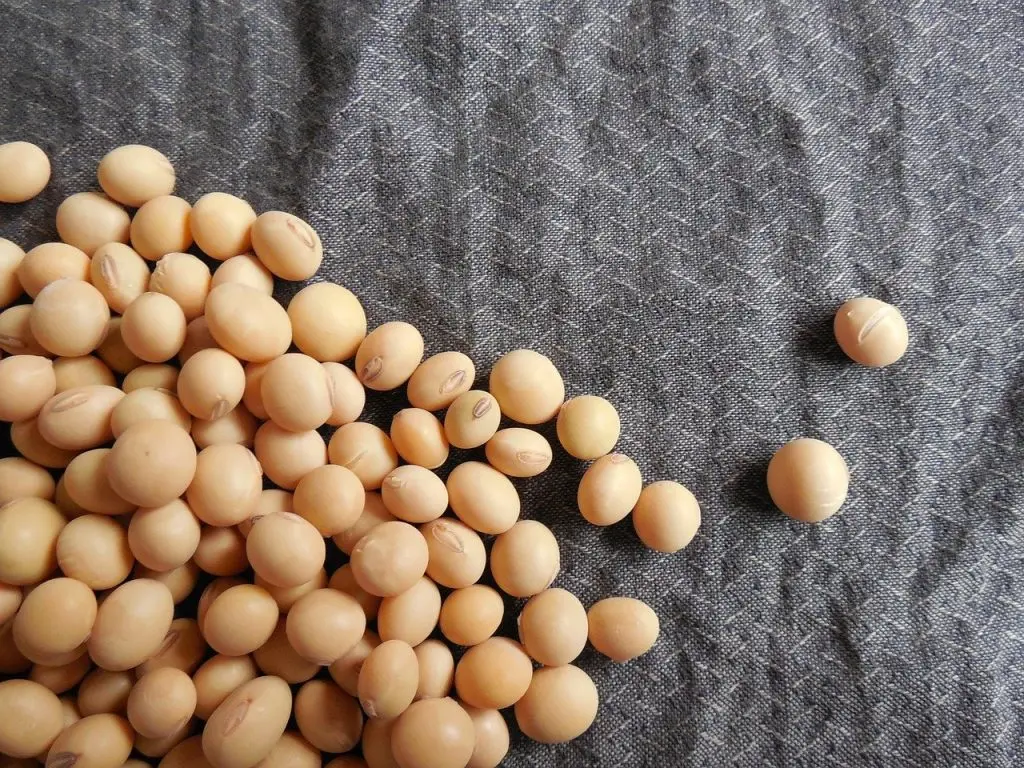 Soybeans: A natural emulsifier