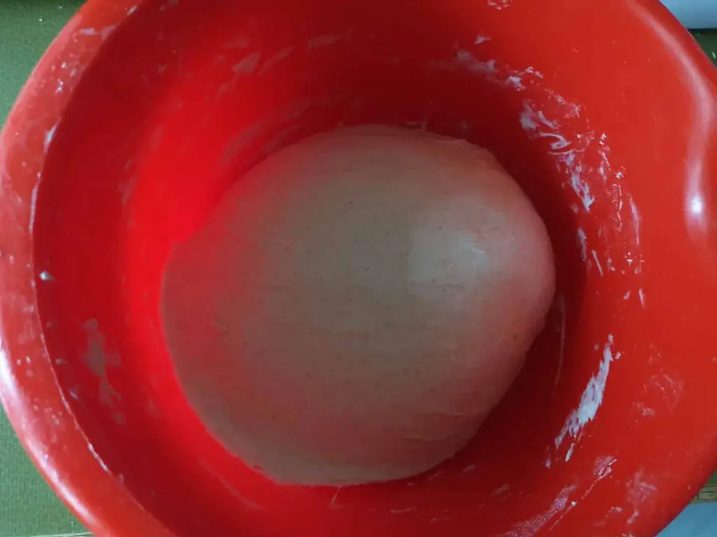 Kneaded bread dough