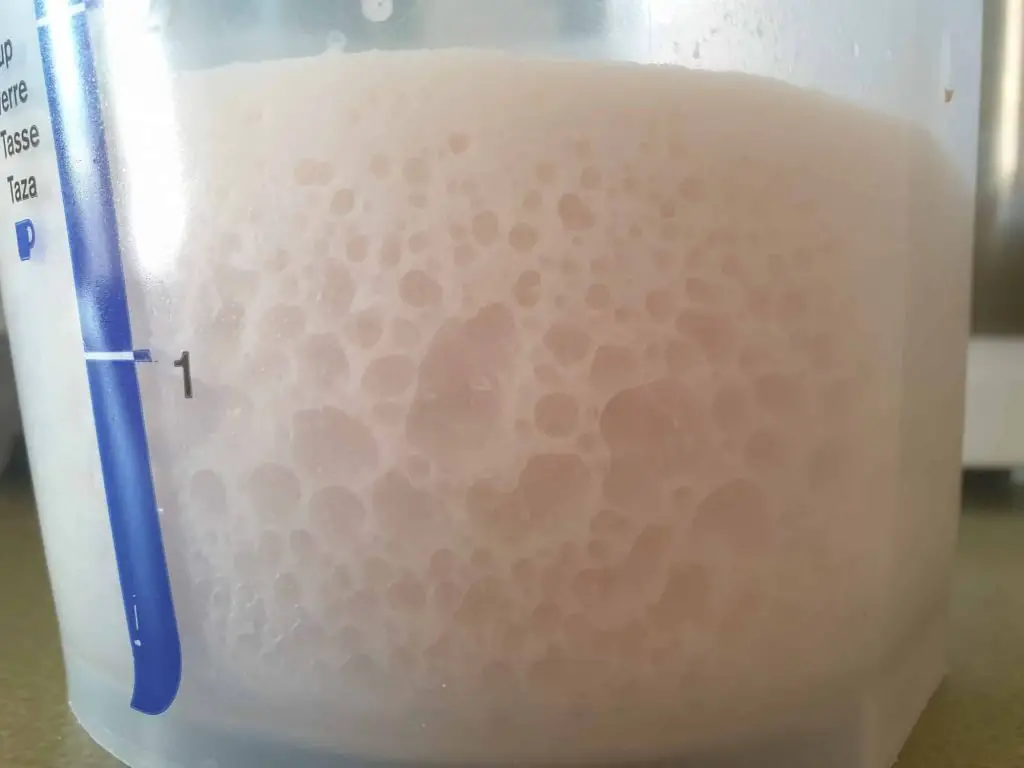 sugar stressed yeast